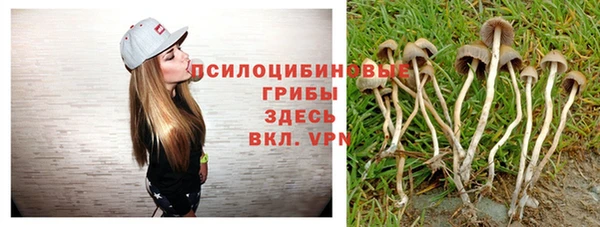 прущая мука Балахна